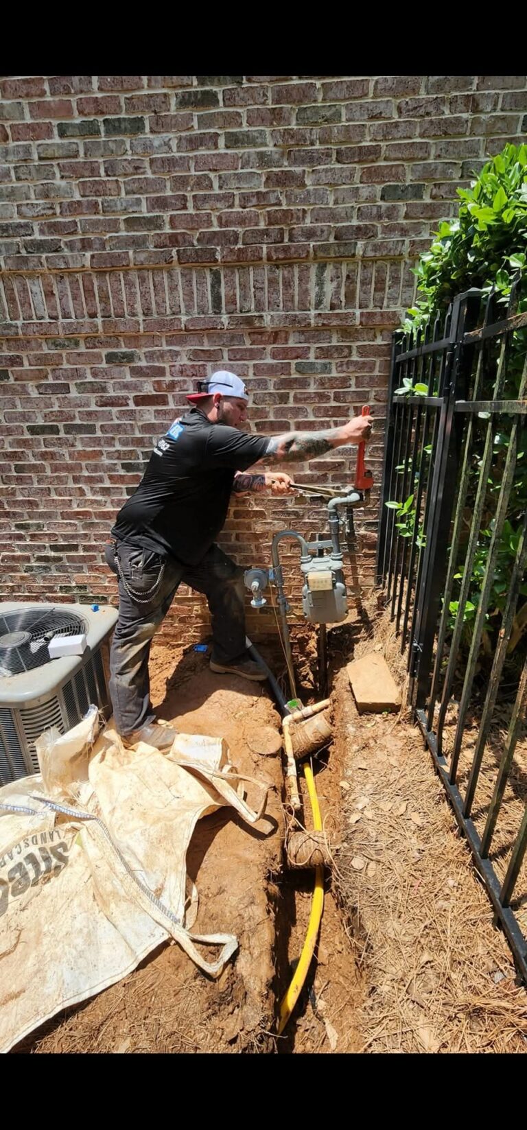 How Tree Roots Crack Sewer Lines Faster During Drought Conditions